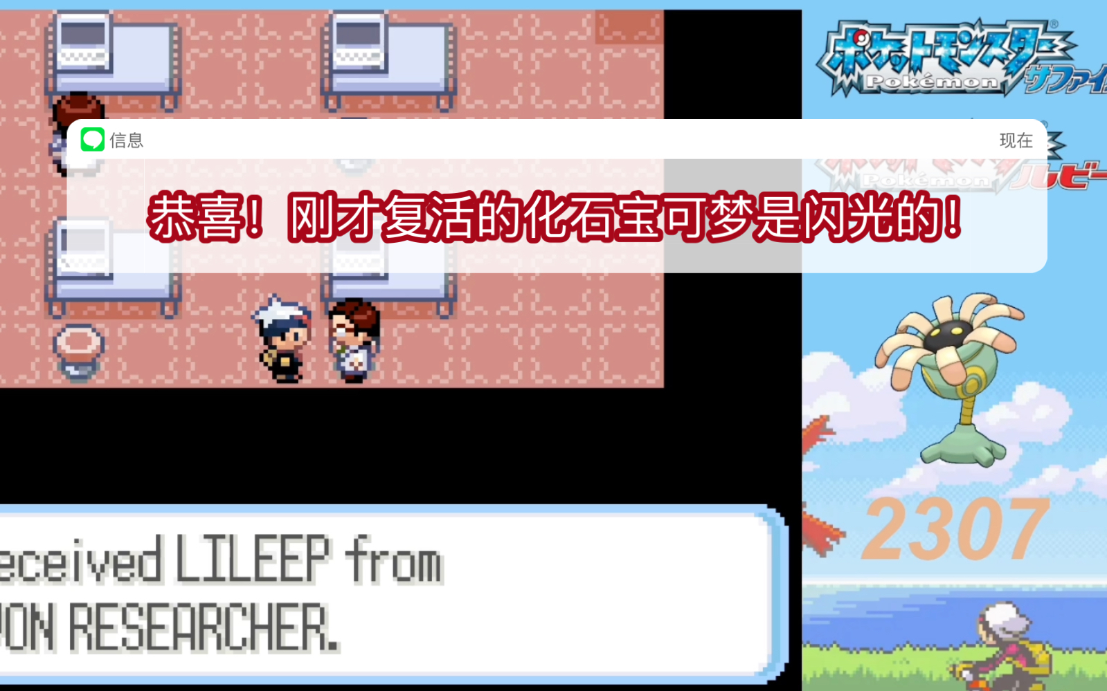 梦幻西游红宝石吸收率测_梦幻吸收宝石测试_梦幻西游红宝石吸收率