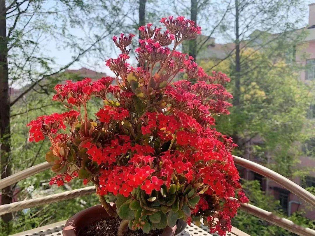 穿越时空，畅游群山：乘坐旅游小火车，感受大自然的鬼斧神工