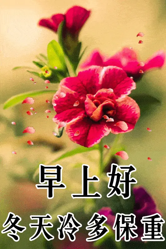 类似吐司软件有哪些_类似吐司软件的软件_类似吐司的软件