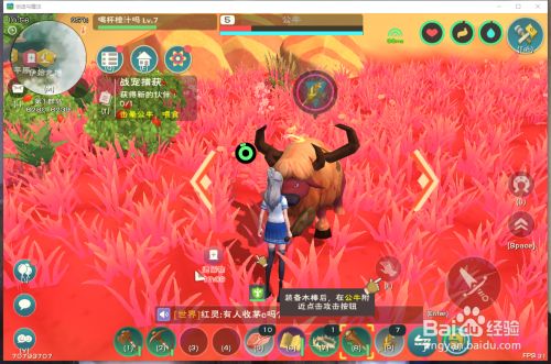 创造与魔法精灵鱼位置_创造魔法精灵鱼在哪钓_精灵魔法使