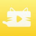 猫咪视频安卓版 猫咪视频安卓版