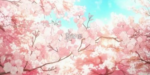 樱花动漫官方网 樱花动漫官方网