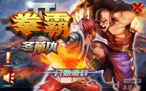 拳霸2冬荫功 拳霸2冬荫功