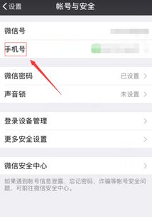 极速变色龙免实名认证版 极速变色龙免实名认证版