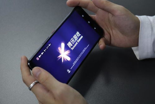 与狐狸的日常安卓汉化版 与狐狸的日常安卓汉化版