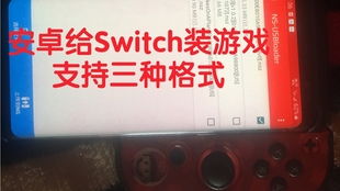 全民来装修游戏 