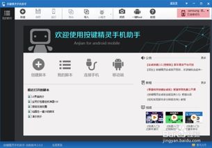 自动按键精灵 
