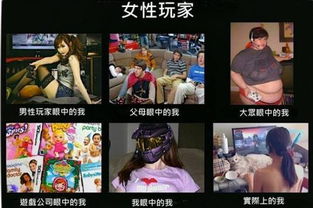 葡萄浏览器最新消息2022 