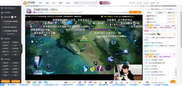 玩游戏出名,从指尖到屏幕的传奇