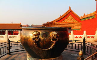 冬天熊的五夜后宫重归 冬天熊的五夜后宫重归