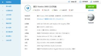 大型斜坡汽车特技 