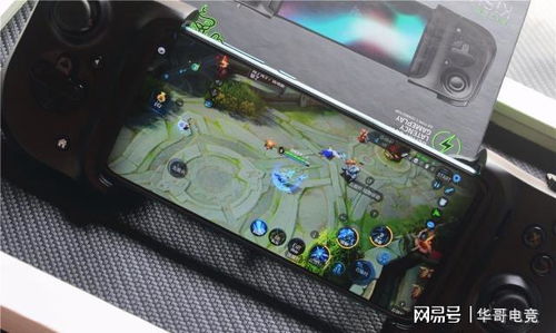 纸飞机的华尔兹 